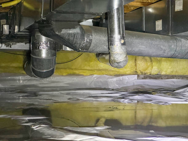 Best Sewage cleanup and water damage restoration  in USA